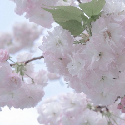 Furry插画细节提升技巧福瑞群